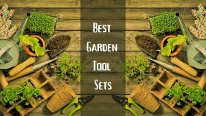 Best Garden Tool Sets for Passionate Gardeners