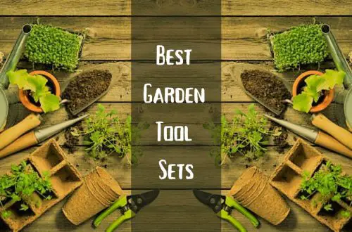 Best Garden Tool Sets for Passionate Gardeners