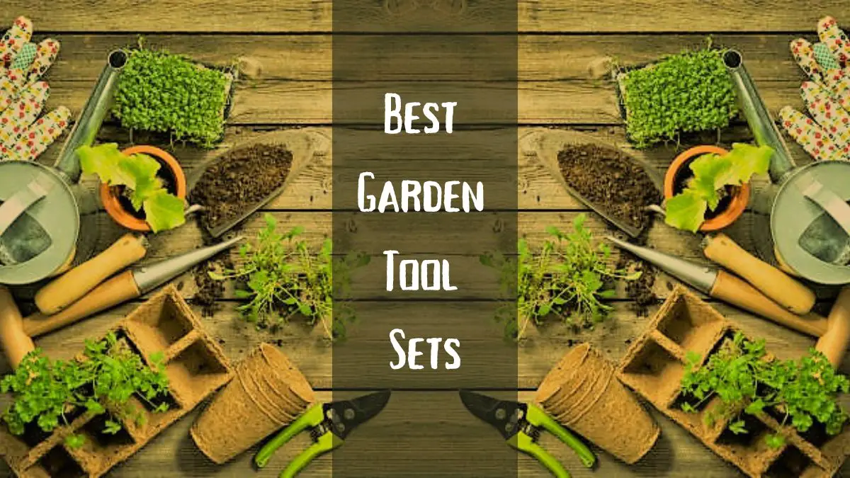 Best Garden Tool Sets for Passionate Gardeners