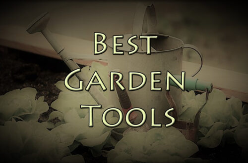 Best Garden Tools_FIM
