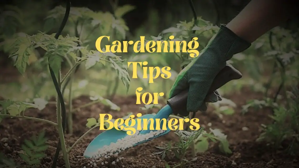 Gardening Tips_FIM
