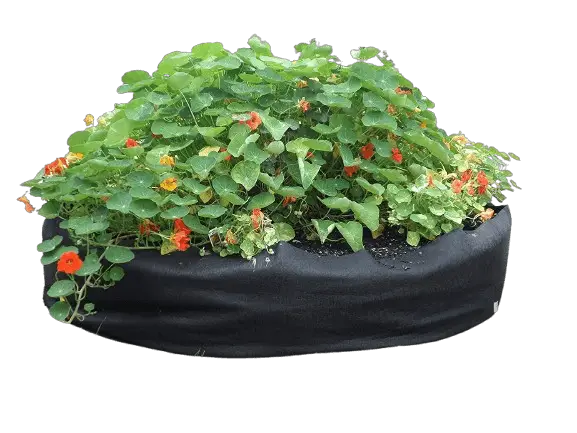 Smart Pots Big Bag Fabric Raised Bed