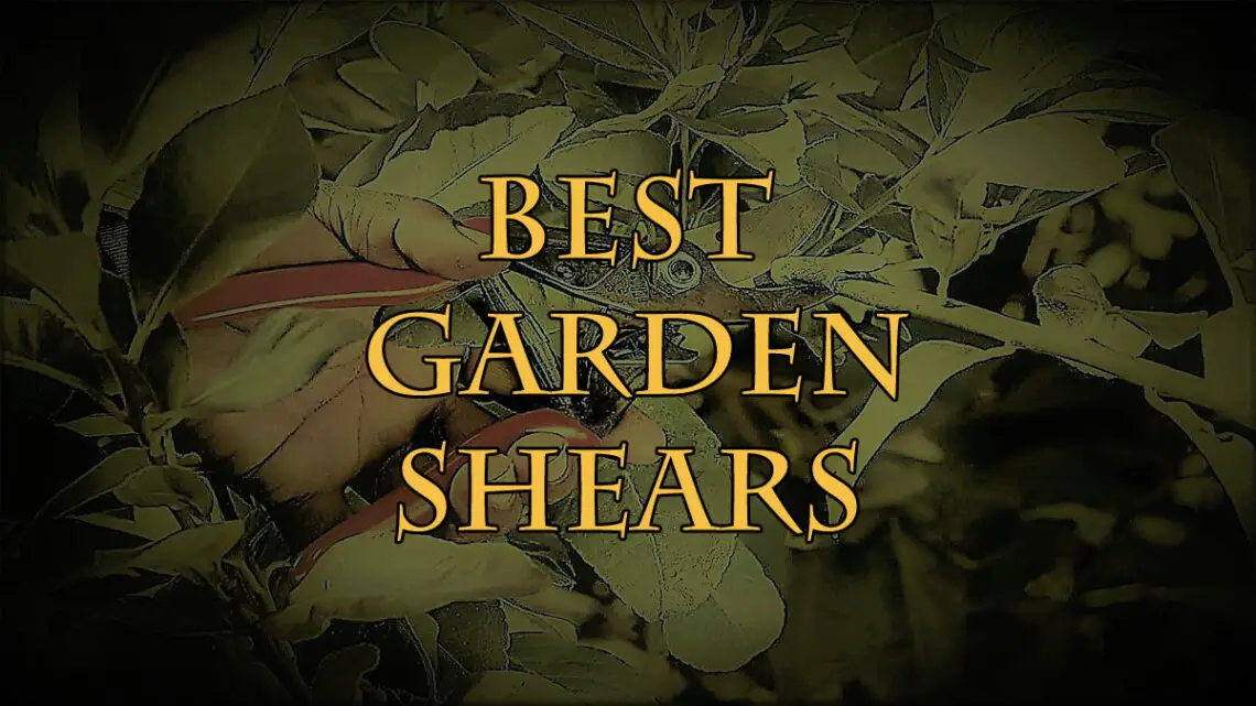Best Garden Shears_FI