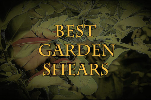 Best Garden Shears_FI