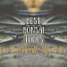 bonsai tools