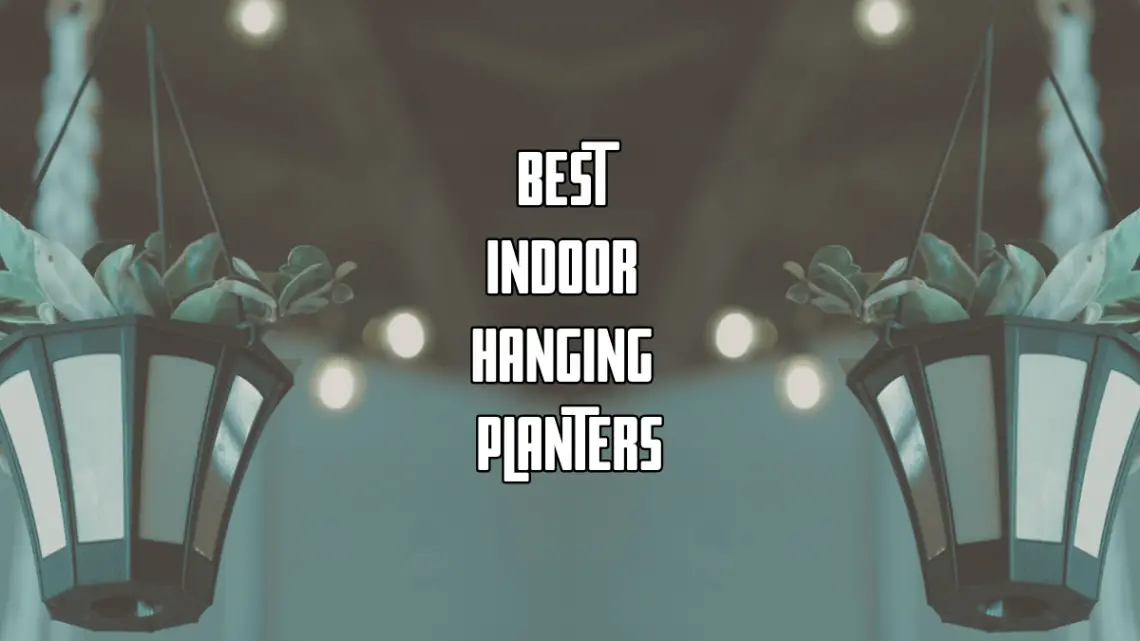 Best Indoor Hanging Planter