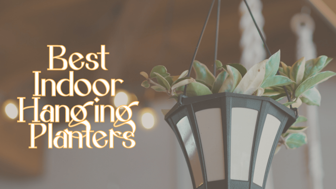 Best Indoor Hanging Planters to Elevate Your Home Decor - Tools Topics
