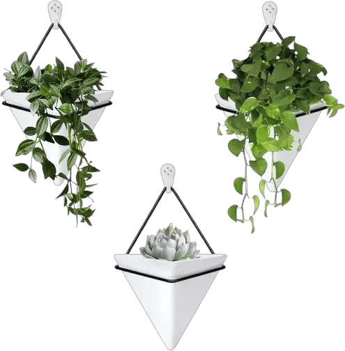 Koalaime Wall Planters for Indoor Plants