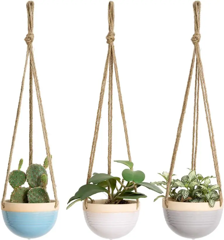 The 9 Best Indoor Hanging Planters for Gardening Properly Tools Topics