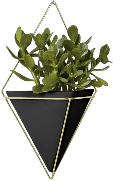 Umbra Trigg Hanging Planter Vase