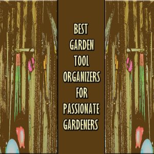 Best Garden Tool Organizer