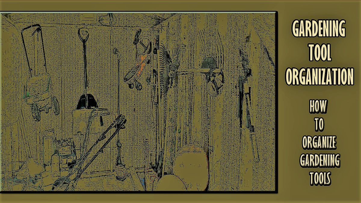 Gardening Tool Organization (How To Organize Gardening Tools) Tools