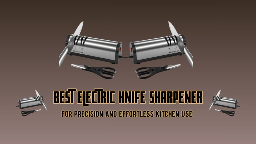 Best Electric Knife Sharpener