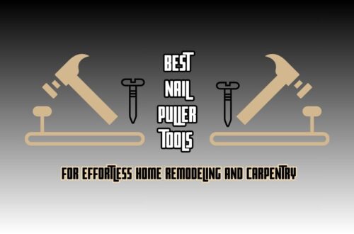 Best Nail Puller Tool