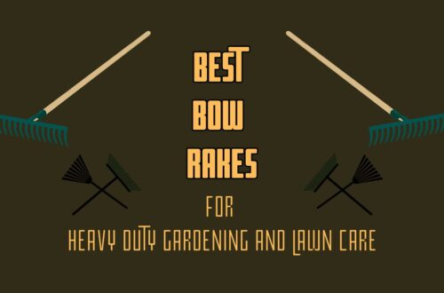 best bow rake